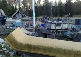 Urho 11.2007